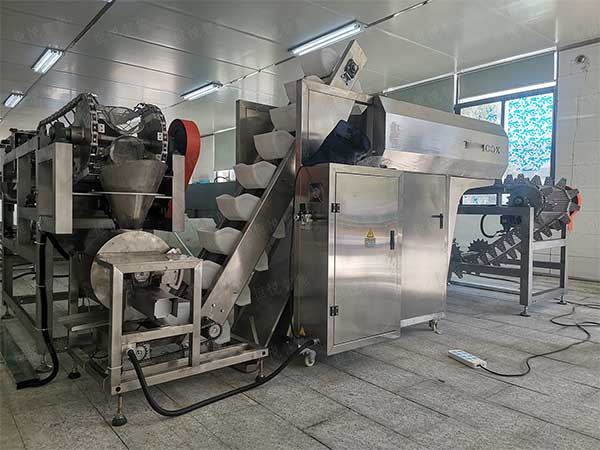 米線濕粉條包裝機(jī)，鮮濕粉專用